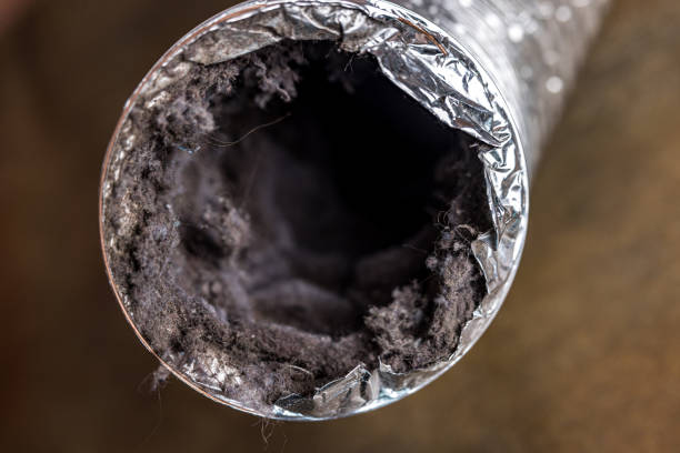 Best Air Duct Sanitizing Services  in Ridgeway, AK